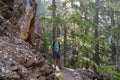 Man Hikes Around Rock Cliff on the Hoh River Trail Royalty Free Stock Photo