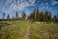 Man Hikes on the Pacific Coast Trail through the Crater Lake wilderness Royalty Free Stock Photo