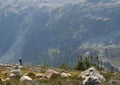 Man Hiking Above Callaghan Valley Royalty Free Stock Photo