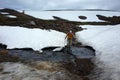 Man is hiking on highlands over melting snow stream in Villarrica national park, Outdoor activity