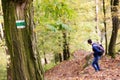 Man on hiking path in a forest, trail sign or marker on a tree. Royalty Free Stock Photo