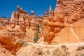 Man on hiking trip in beautiful red mountains.