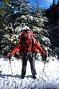 Man hiking in winter Royalty Free Stock Photo