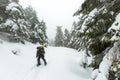 Man is hiking in winter forest on cloudy day Royalty Free Stock Photo