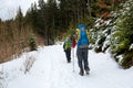 Man is hiking in winter forest on cloudy day Royalty Free Stock Photo