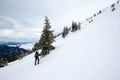 Man is hiking in winter forest on cloudy day Royalty Free Stock Photo