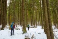 Man is hiking in winter forest on cloudy day Royalty Free Stock Photo