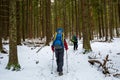 Man is hiking in winter forest on cloudy day Royalty Free Stock Photo