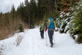 Man is hiking in winter forest on cloudy day Royalty Free Stock Photo