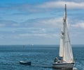 A Sail boat towing a dingy with a man and his labrador on the boat in calm waters. On Tampa bay Florida. No Model/Property Release