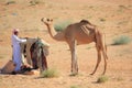 A man and his camel Royalty Free Stock Photo