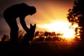 Man and his dog looking to a sunset or sunrise, silhouette and colorful sunshine