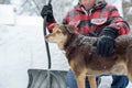 Man and his dog shoveling snow Royalty Free Stock Photo