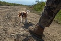 Man and his dog in a walk Royalty Free Stock Photo