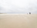 A man and his dog walking on the fine sandy  beaches of the Langeog island in Germany in Autumn Royalty Free Stock Photo