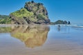 Man and his dog walking on Piha Beach