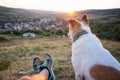 Man and his dog watching the sunset on a hill over the village own point of view Royalty Free Stock Photo