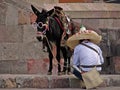 Man and his donkey dressed up for mexican revolutionary festivities in San Miguel de Allende Royalty Free Stock Photo