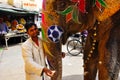 A man with his elephant in Jaipur, India. Royalty Free Stock Photo