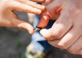 A man in his hand holds a deer beetle. A child's hand touches th Royalty Free Stock Photo