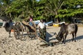 A man with his pair of oxen and wooden cart on Arugam Bay beach.