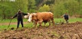 Man with his wife working the land Royalty Free Stock Photo