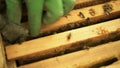 Man hiver beekeeper removes the empty cocoon, which remains from the uterus, from the hive.