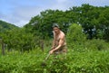 Man with Hoe 1 Royalty Free Stock Photo