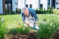 Bearded man wearing white gloves using little hoe while grubbing the weeds up Royalty Free Stock Photo