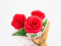 man hold bunch of red rose flower with white background, focus at front of one red rose Royalty Free Stock Photo