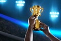 Man hold golden trophy cup Royalty Free Stock Photo