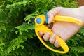 Man hold in hand plastic garden clipper