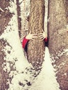 Man hold tree trunk with the frozen bark covered with sticky snow Royalty Free Stock Photo