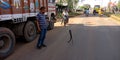 man holded stick with snake on road in India Oct 2019 Royalty Free Stock Photo