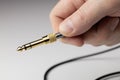 Equipment for connecting devices. The golden plug is held by a man`s fingers. Royalty Free Stock Photo