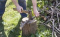 A man holding an axe, chopping branches on a stump