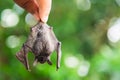 Man holding baby flying bat