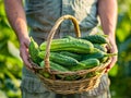 A man holding a basket of cucumbers in a field