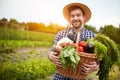 Man holding basket with organic vegetables Royalty Free Stock Photo