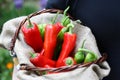 Man holding a basket with red Royalty Free Stock Photo