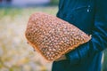 Man holding big hazelnuts bag Royalty Free Stock Photo