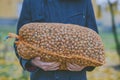 Man holding big hazelnuts bag Royalty Free Stock Photo