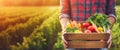 Man Holding Box of Assorted Vegetables.