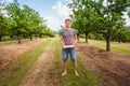 Man holding a box full of organik ripe cherries. Ingathering Royalty Free Stock Photo