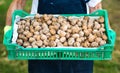 Man holding box full of walnuts Royalty Free Stock Photo