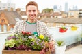 Man Holding Box Of Plants On Rooftop Garden Royalty Free Stock Photo