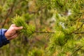 Man holding a branch of pine with rain drops on needles