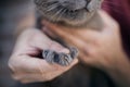 Long sharp claws of cat Royalty Free Stock Photo