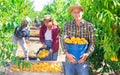 Man holding bucket full of peaches Royalty Free Stock Photo