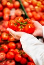 Man holding a bunch of fresh tomatoes Royalty Free Stock Photo